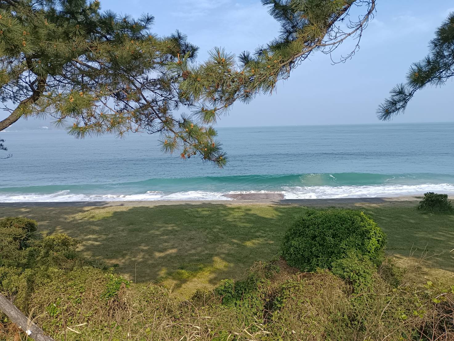 �y�����@�z�����œ�������Ɋ�����@�u�l�����̌���񕜁v